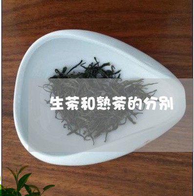 生茶和熟茶的分别/2023031865048