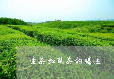 生茶和熟茶的喝法/2023031898393