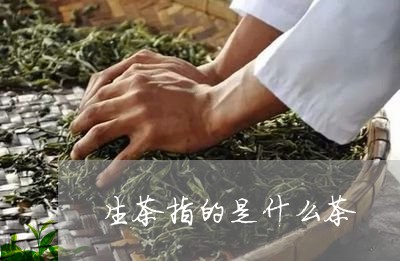 生茶指的是什么茶/2023032570593