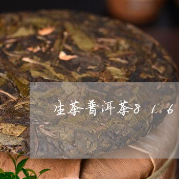 生茶普洱茶816/2023041231828