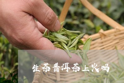 生茶普洱茶上火吗/2023041129476