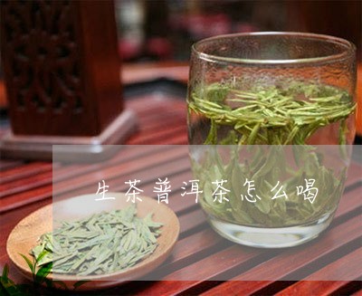 生茶普洱茶怎么喝/2023031747369