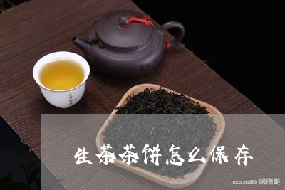 生茶茶饼怎么保存/2023032516938