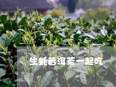 生蚝普洱茶一起吃/2023033079827