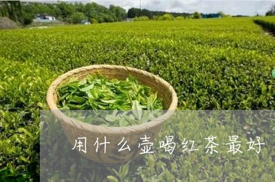 用什么壶喝红茶最好/2023041501816