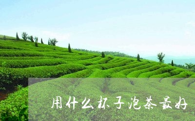 用什么杯子泡茶最好/2023041637960