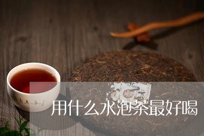 用什么水泡茶最好喝/2023041649472