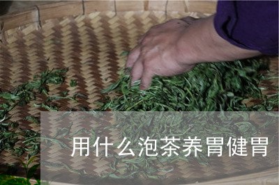 用什么泡茶养胃健胃/2023032074824