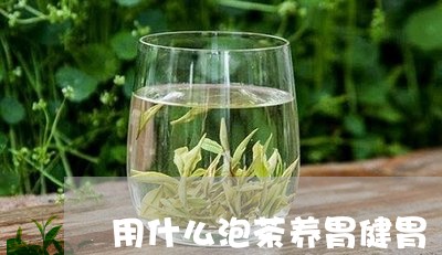 用什么泡茶养胃健胃/2023041639472