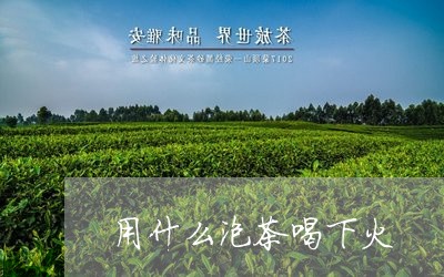 用什么泡茶喝下火/2023032425260