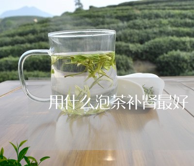 用什么泡茶补肾最好/2023032034045