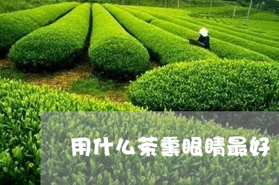 用什么茶熏眼睛最好/2023041569259