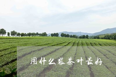 用什么装茶叶最好/2023032608372