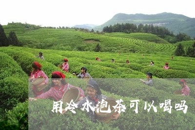 用冷水泡茶可以喝吗/2023041662915