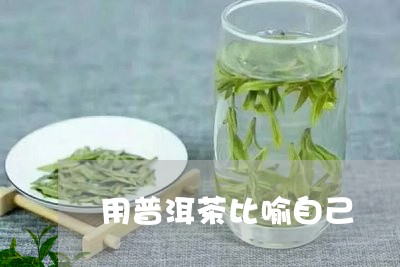 用普洱茶比喻自己/2023041000583