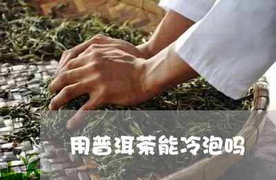 用普洱茶能冷泡吗/2023033175149