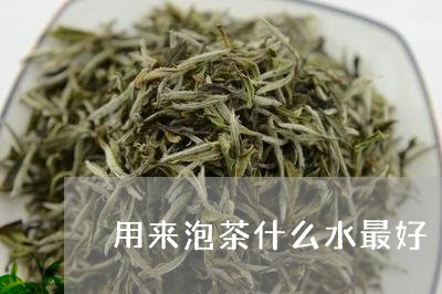 用来泡茶什么水最好/2023041658382