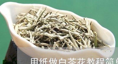 用纸做白茶花教程简单视频/2023040986495