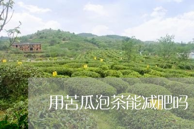 用苦瓜泡茶能减肥吗/2023041625038