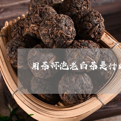 用茶杯泡老白茶是什么颜色/2023040957370