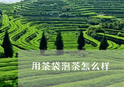 用茶袋泡茶怎么样/2023032582947