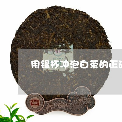 用银杯冲泡白茶的正确方法/2023040904936