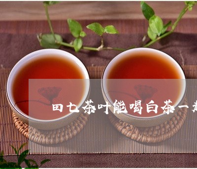 田七茶叶能喝白茶一起泡吗/2023040902725