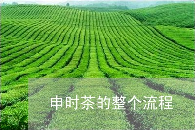 申时茶的整个流程/2023032547371