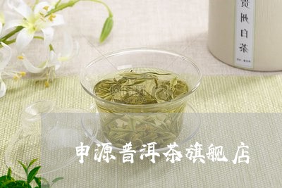 申源普洱茶旗舰店/2023033194047