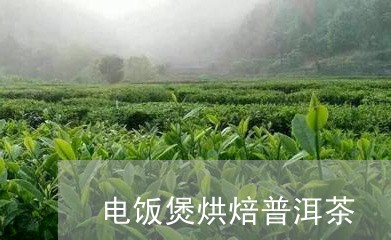 电饭煲烘焙普洱茶/2023041009590