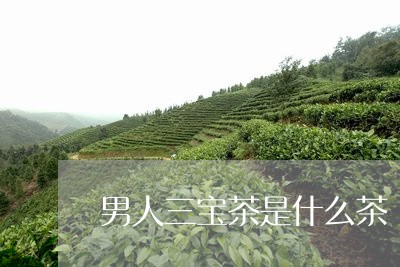 男人三宝茶是什么茶/2023041513946