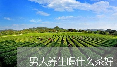 男人养生喝什么茶好/2023032047470