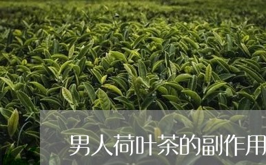 男人荷叶茶的副作用/2023041723838