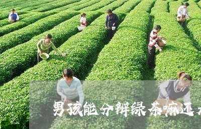 男孩能分辨绿茶嘛还是白茶/2023041274948