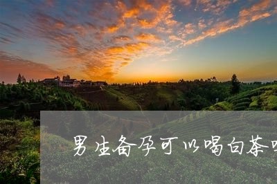 男生备孕可以喝白茶吗/2023041238268