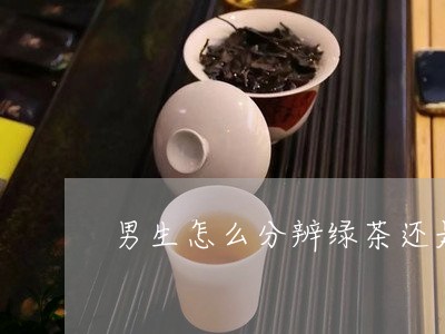 男生怎么分辨绿茶还是白茶/2023040995050