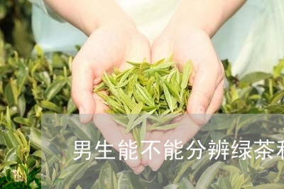 男生能不能分辨绿茶和白茶/2023041268460