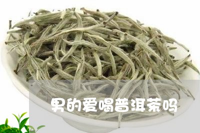 男的爱喝普洱茶吗/2023041321612