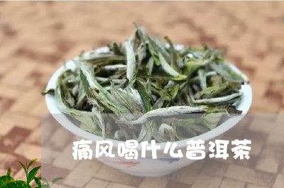 痛风喝什么普洱茶/2023041003926