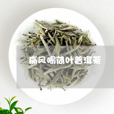 痛风喝荷叶普洱茶/2023041067582