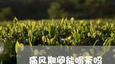 痛风期间能喝茶吗/2023032589490