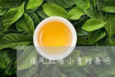 痛风能喝小青柑茶吗/2023032293946