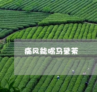 痛风能喝马黛茶嚒/2023032280846