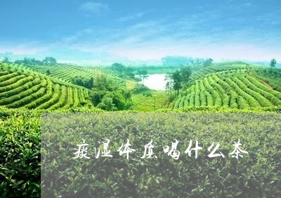 痰湿体质喝什么茶/2023032369472