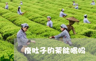 瘦肚子的茶能喝吗/2023032214461