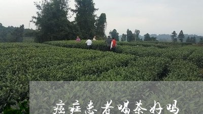 癌症患者喝茶好吗/2023032531726