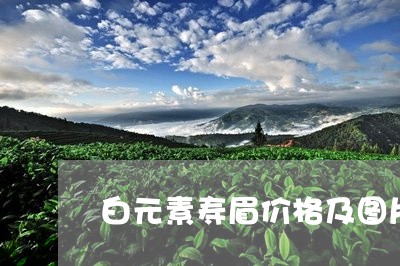 白元素寿眉价格及图片大全/2023040942603