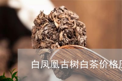 白凤凰古树白茶价格压紧茶/2023040959473