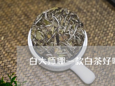 白大师哪一款白茶好喝一点/2023040920472