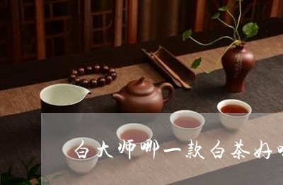 白大师哪一款白茶好喝一点/2023041278381